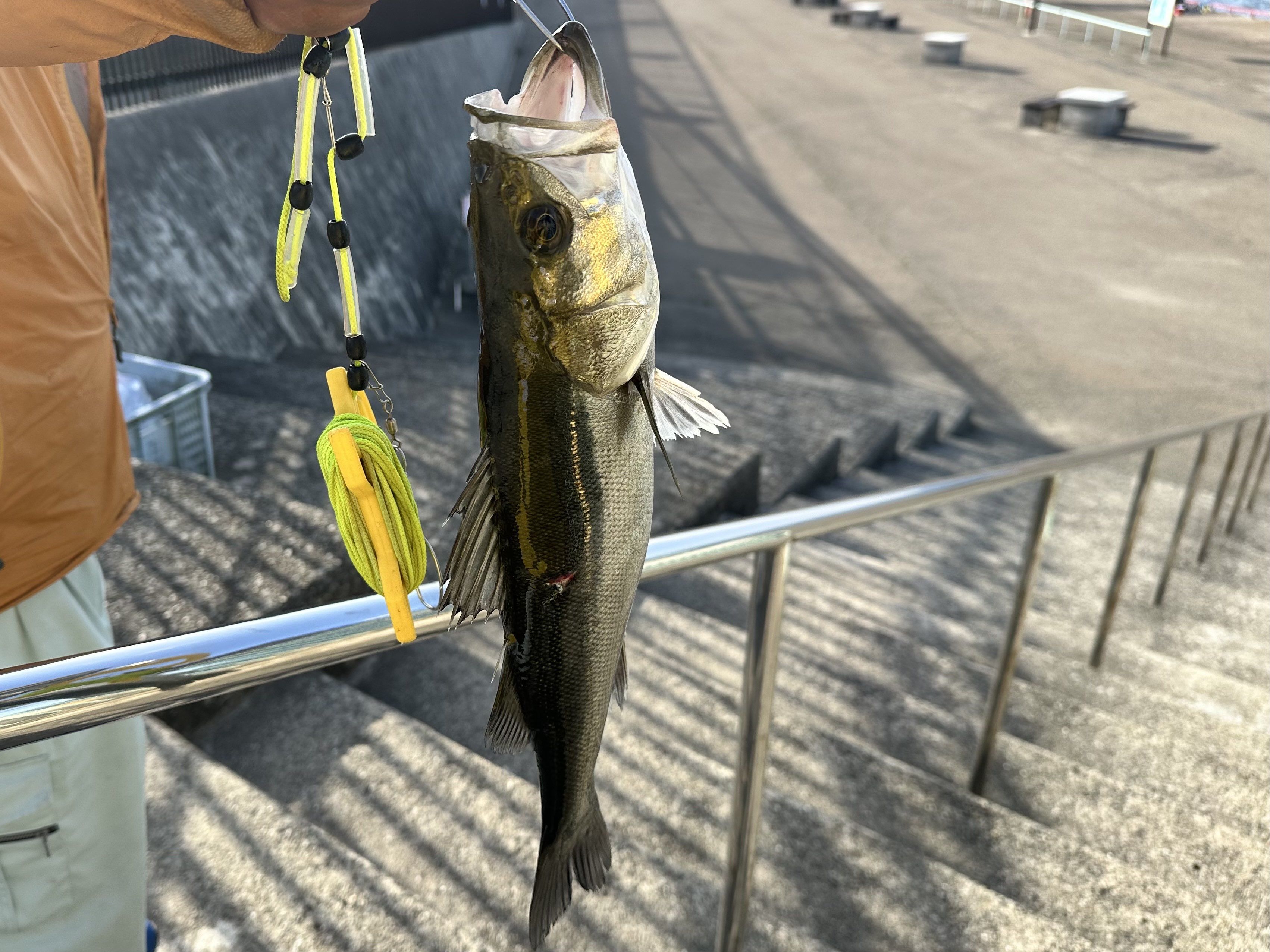 🌳 나루오하마 임해공원 (남지구) (나루오하마 린카이 코엔 미나미 치쿠)